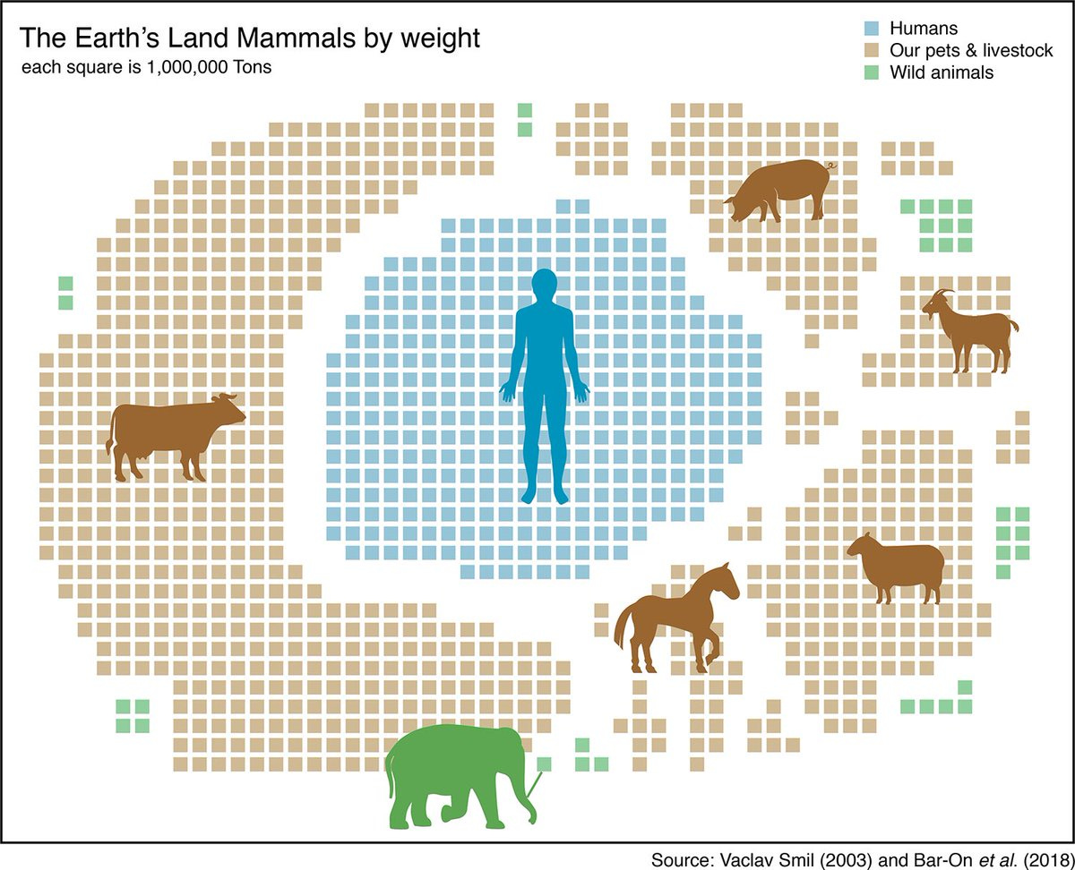 Weight of all land mammals 🌍 30% Humans 👨🏼‍🦰👩🏽👨🏾👵🏿👴🏻👩🏼‍🦳 67% Human  Livestock 🐄🐂🐏🐖🐐 and pets 🐩🐈🐇🐎🐩 3% Wild animals 🐘🦏🦛🐆🐅🦓🦍🦒  We slaughtered the megafauna 🦣 🐗🦤 Now we are entering the 6th mass  extinction ☄️ Welcome to ...