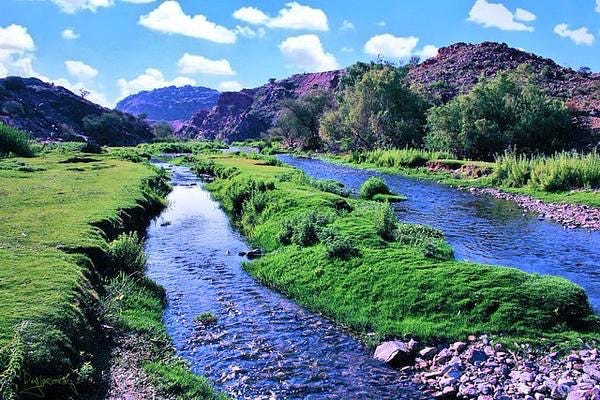 منتزه الطائف الوطني: جوهرة طبيعية وثقافية في قلب المملكة العربية السعودية |  أرابيسك لندن | السعودية