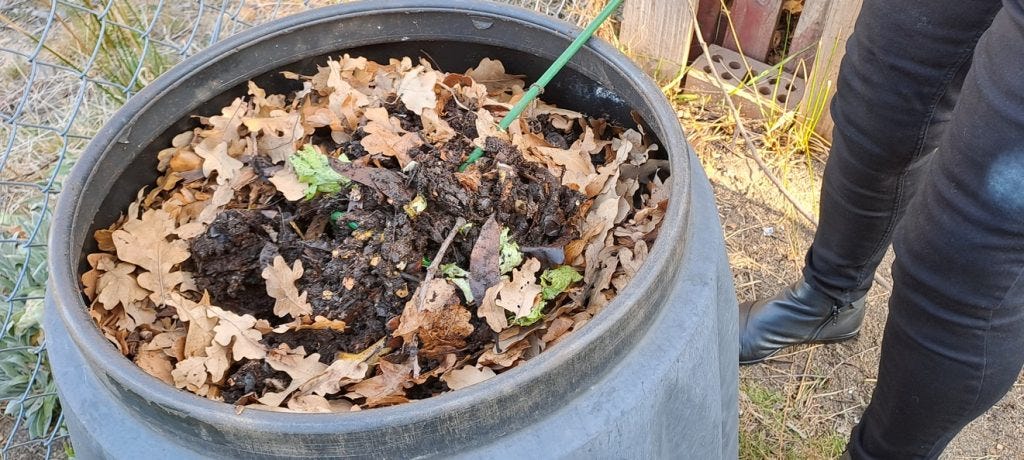 compost bin