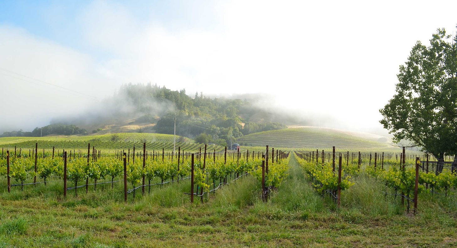 tourmendocino.com/wine-t...