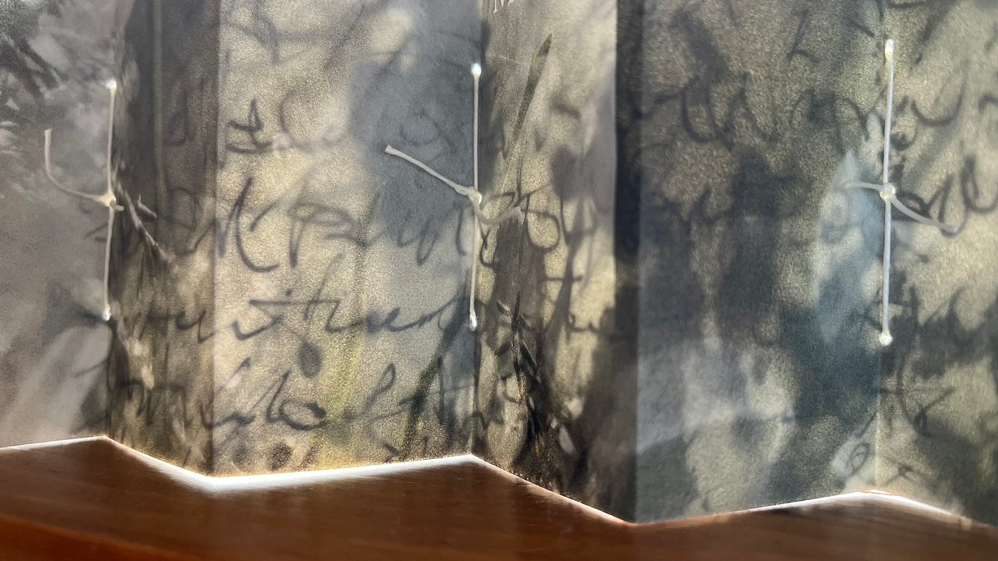 Backlit detail of layered concertina book made by Michela Griffith showing transparent layers and underlying mark making