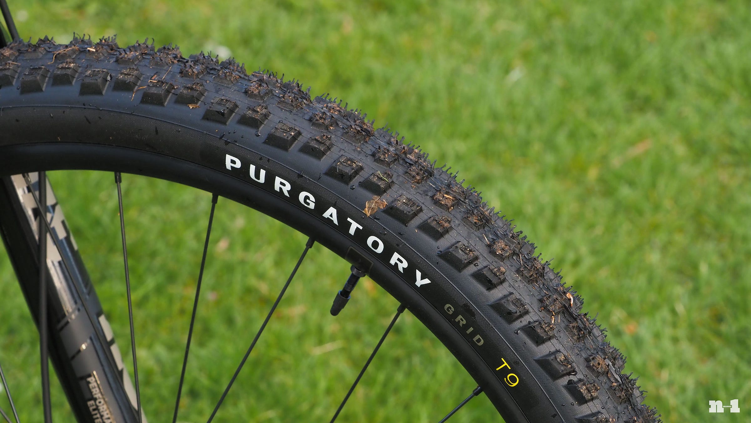 Specialized Purgatory tire