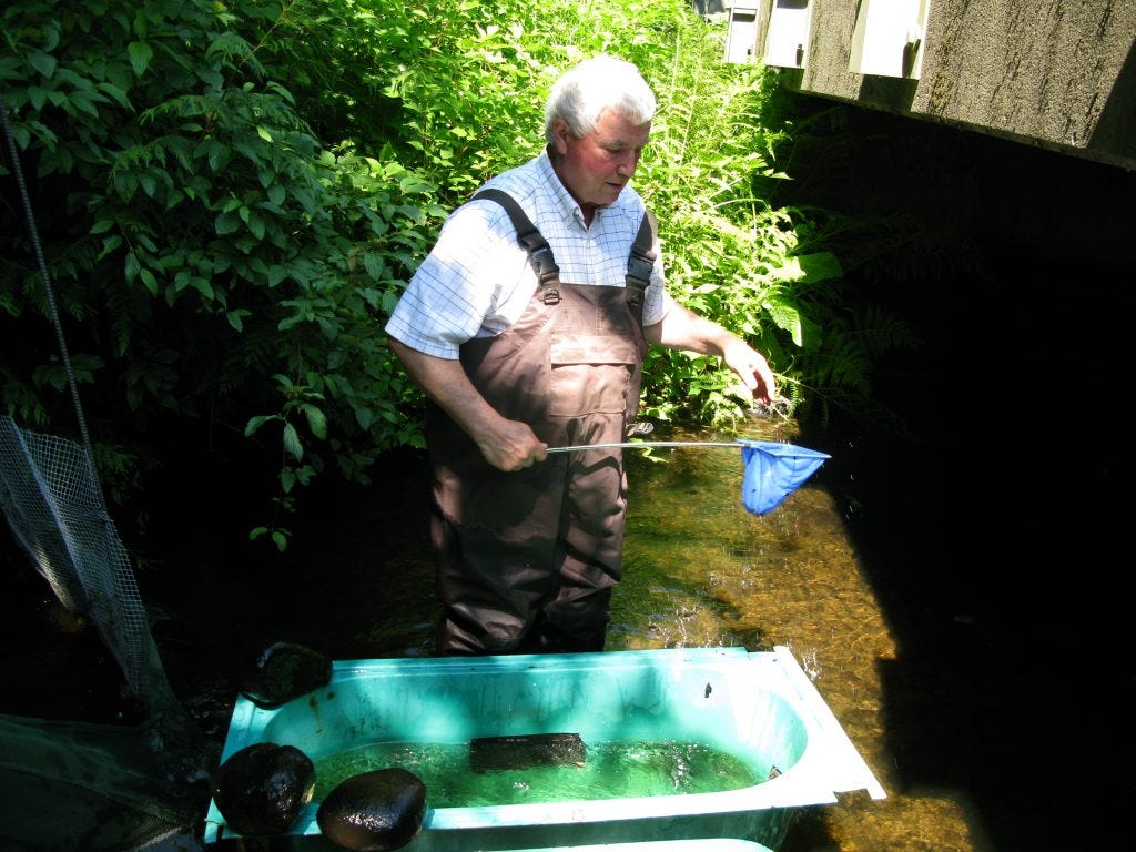 A man stands behind a small tub-like bucket that is filled with water. He holds a long handle with a small net attached to the end. A man stands behind a small tub-like bucket that is filled with water. He holds a long handle with a small net attached to the end.