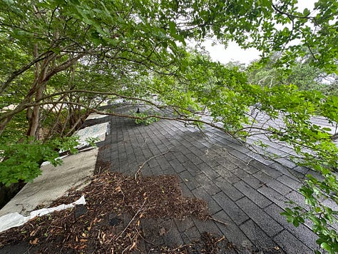 Roof Pictures