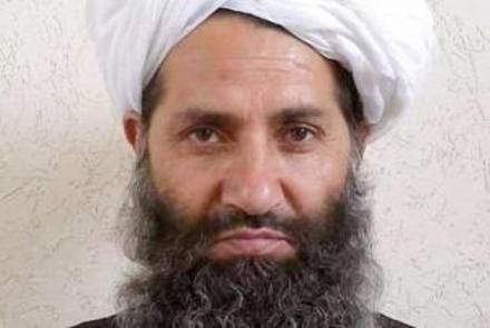 A person with a beard

Description automatically generated with medium confidence