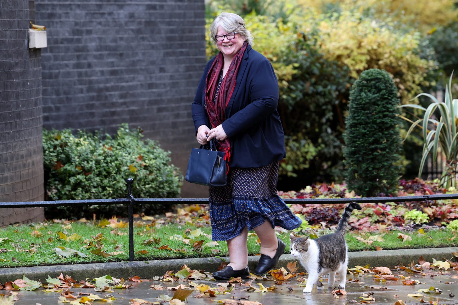 British environment minister Coffey resigns in reshuffle | Reuters