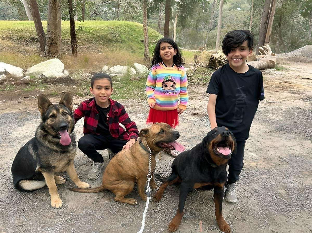 kids and dogs kids and dogs