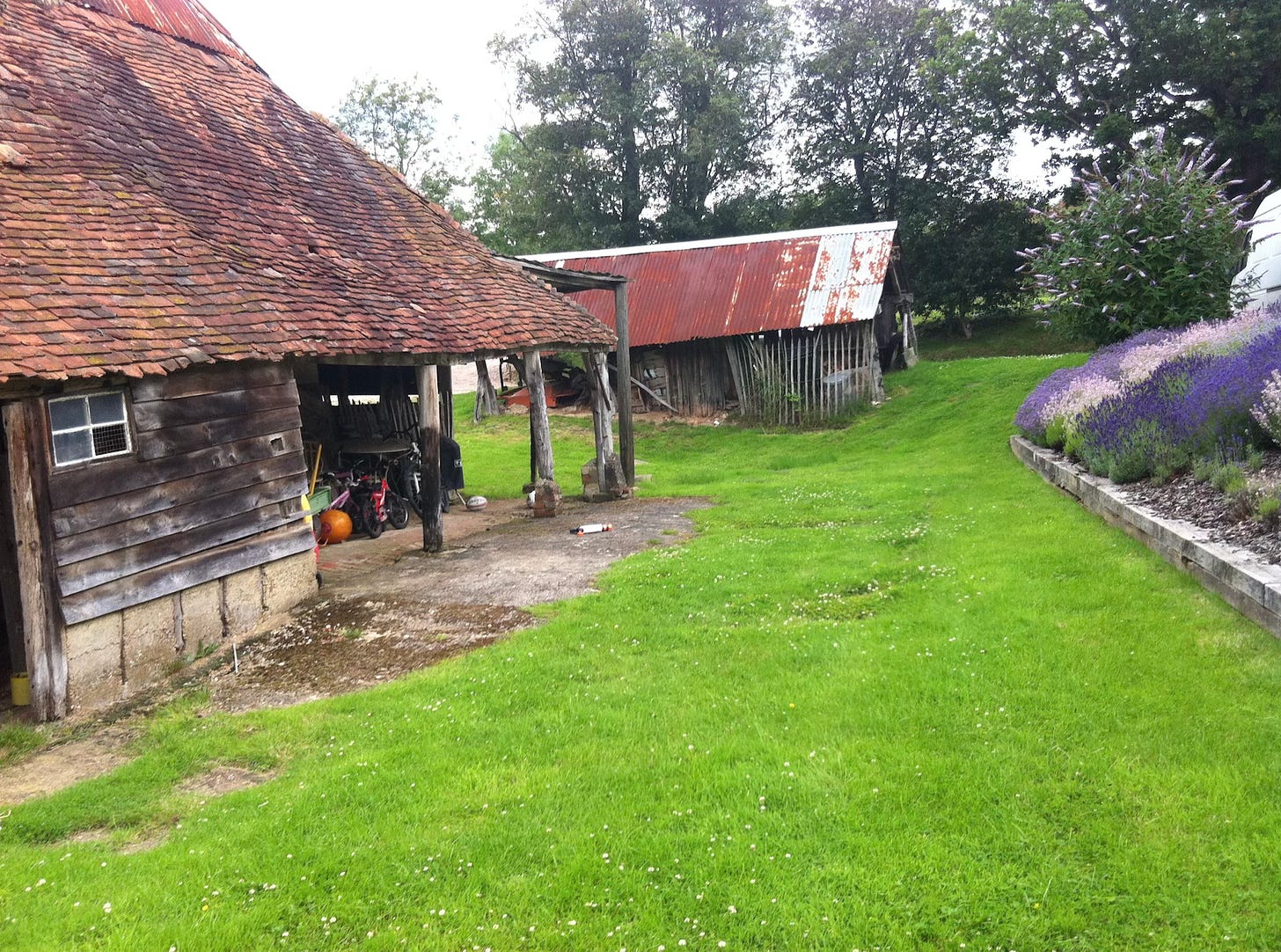 a tumbledown country garden with an old barn