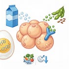 Hormones in Your Food