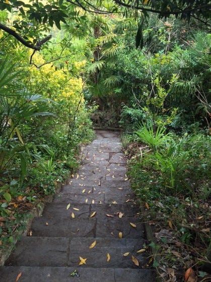 villa magnolia secret garden stairs down villa magnolia secret garden stairs down