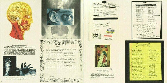 Pearl Jam Vitalogy (2 LP)