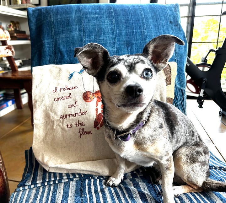 On the left is a photo of the Isolation Journal No. 1 along with pens, paint brushes, a palette, and various tubes of paint; so colorful! On the rihgt is a photograph of a small spotted dog with one brown eye and one blue eye, seated on a char beside the Surrender tote.