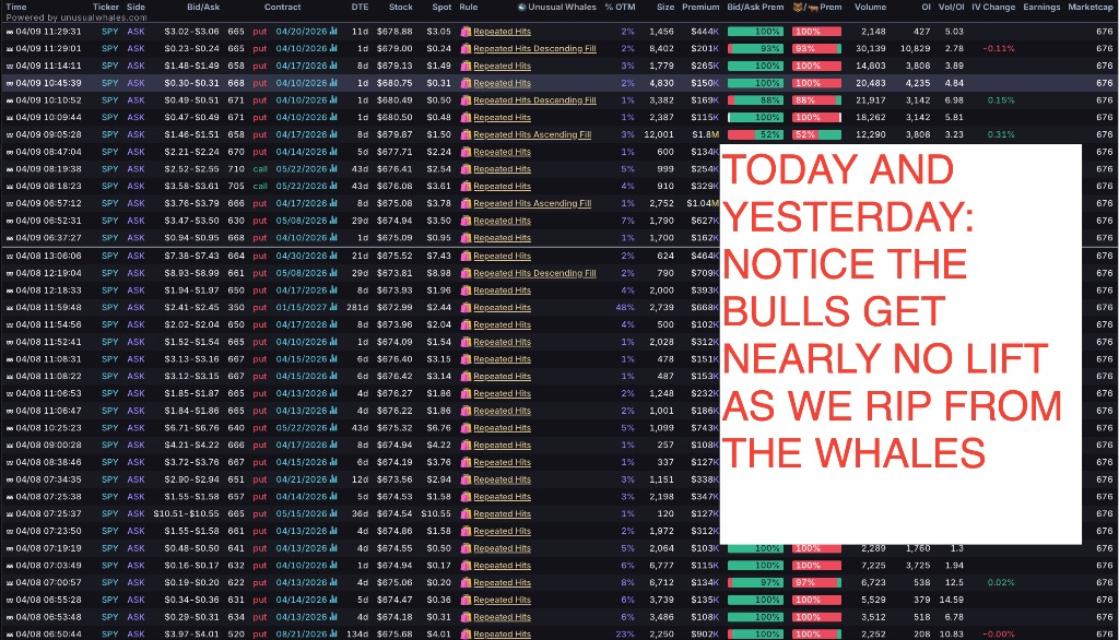 Selected image presented in a lightbox.