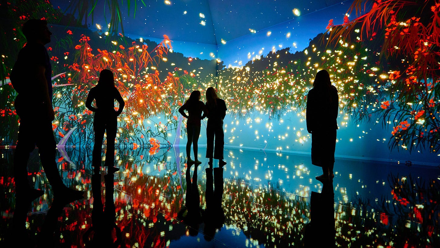 Tyama: A multisensory experience of nature - Melbourne Museum