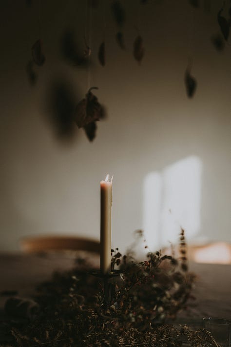 Images of nature including fungi, lichen, spiders' webs, feet in grass, candles and berries