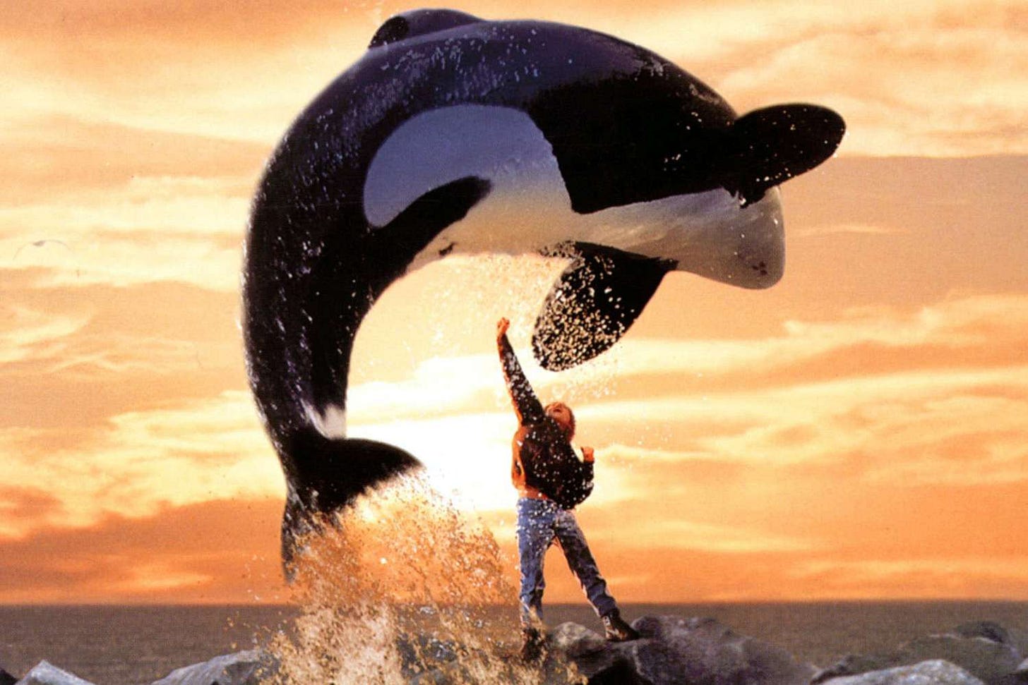 'Free Willy' Cast: Where Are They Now?