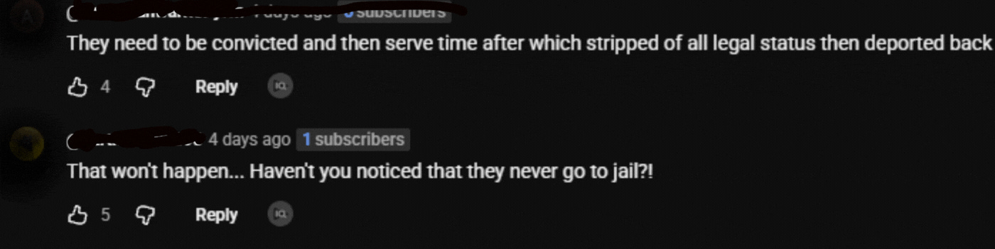YouTube comment calling for people to be stripped of legal status and deported back after serving time.