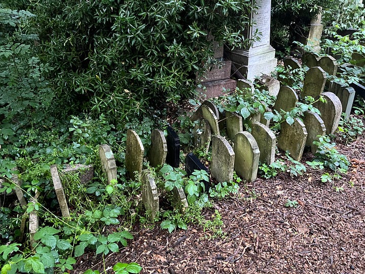 Rows of tiny headstones pressed up against each other