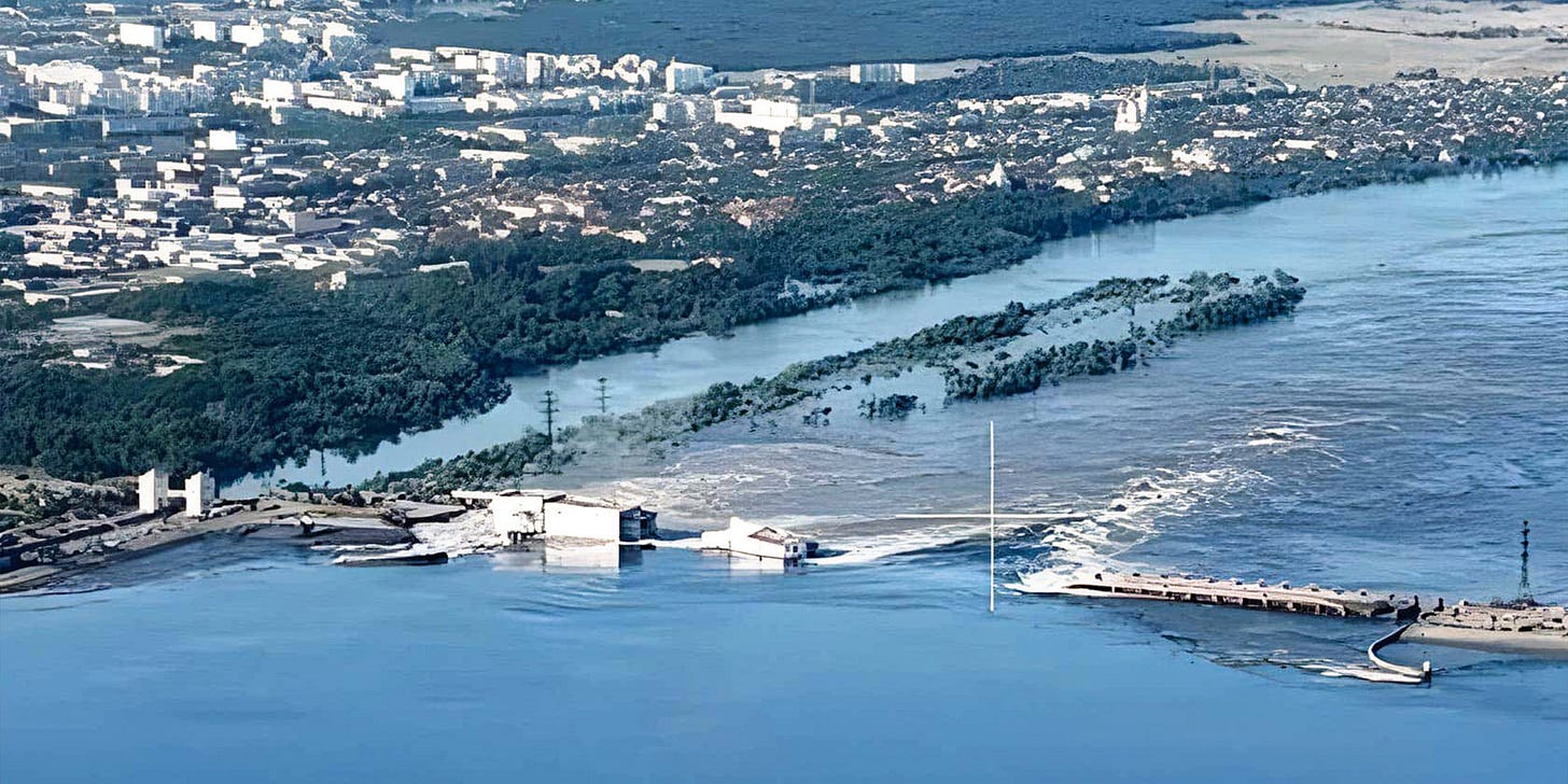 The consequences of the Russian terrorist attack on the Kakhovka  Hydroelectric Power Plant (HPP) for wildlife - Ukrainian Nature  Conservation Group