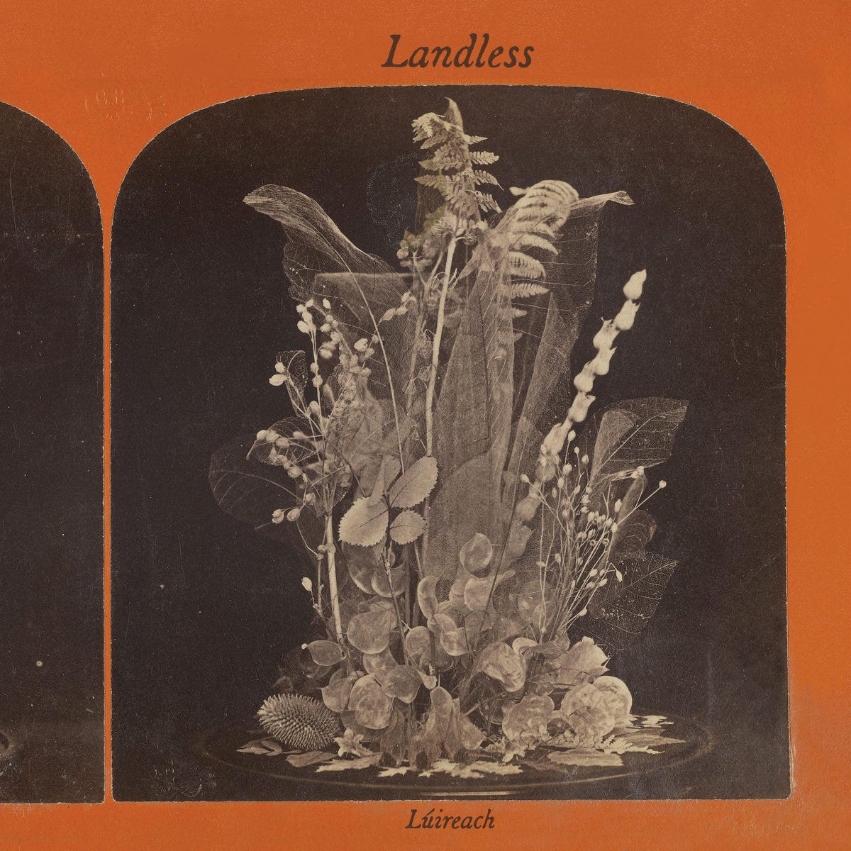 Cover of Landless' album Lúireach, the cover depicts an image of flowers