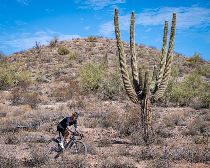 BWR Arizona Dan Hughes