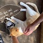 meu quintal #58: o que acaba