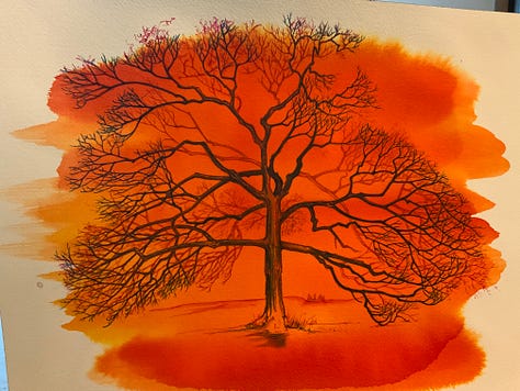 Yellow hickory, red maples, rusty dawn redwood, mixed hardwood forest on Asylum Lake, grapevines, and saffron bog Tamarack.