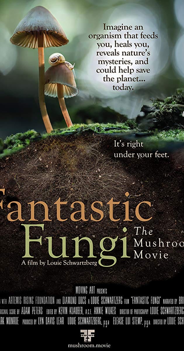 Image result for fantastic fungi images Image result for fantastic fungi images