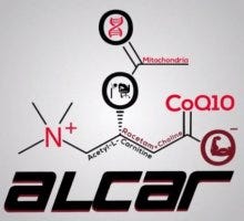Acetyl-L-Carnitine (ALCAR)