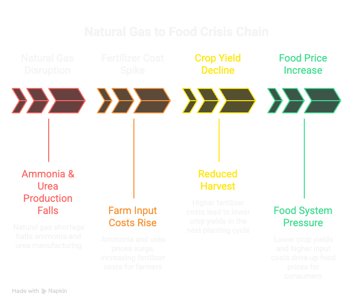 Natural gas food crisis chain showing production decline to rising food prices