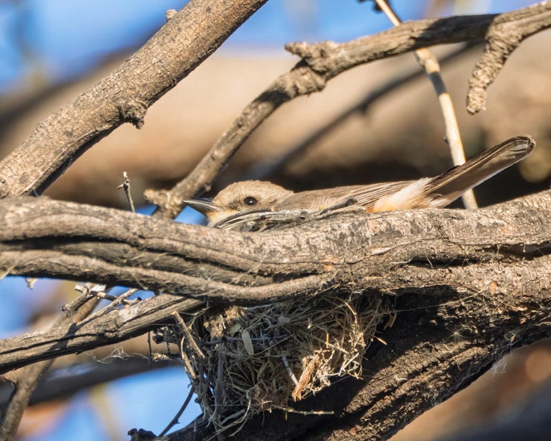 20260317-Sweetwater-35-Edit.jpg 20260317-Sweetwater-35-Edit.jpg