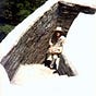 Shibumi 氣 Do's avatar