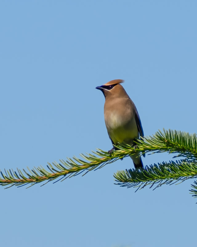 20250610-SJI3-644-Edit.jpg 20250610-SJI3-644-Edit.jpg