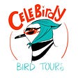 Celebirdy Bird Tours's avatar