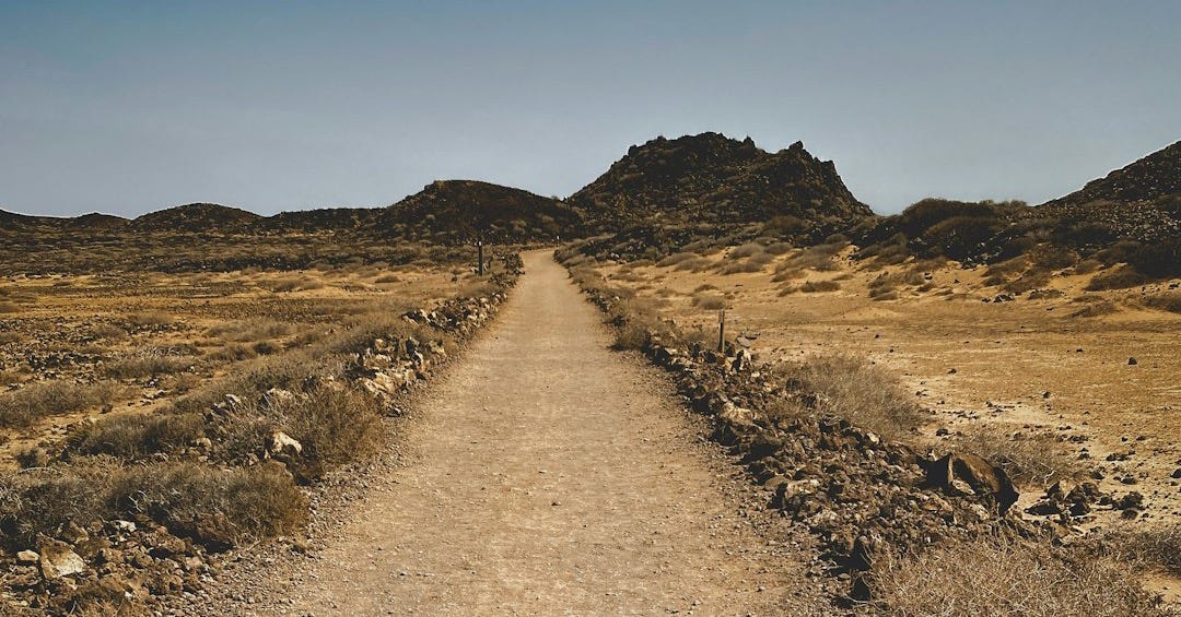 a dirt road in the middle of a desert