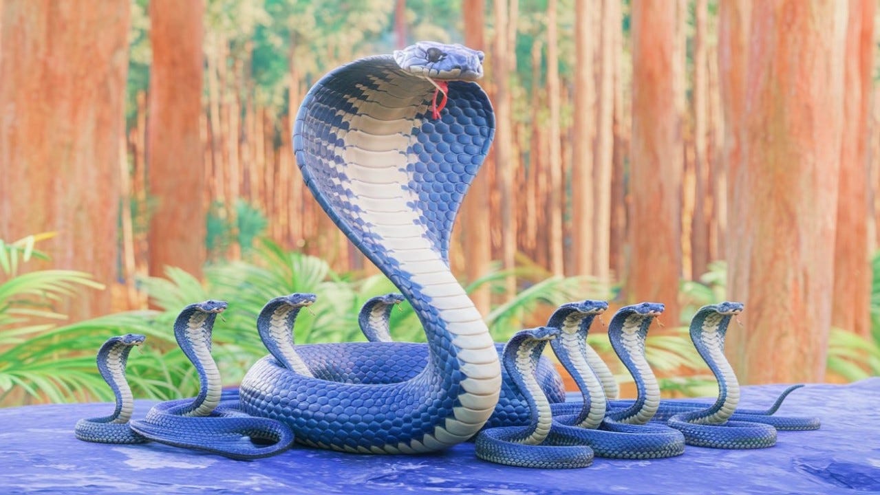 The Cobra Effect: When Good Intentions Backfire