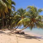 Running Wild On Little Corn Island, Nicaragua 🇳🇮