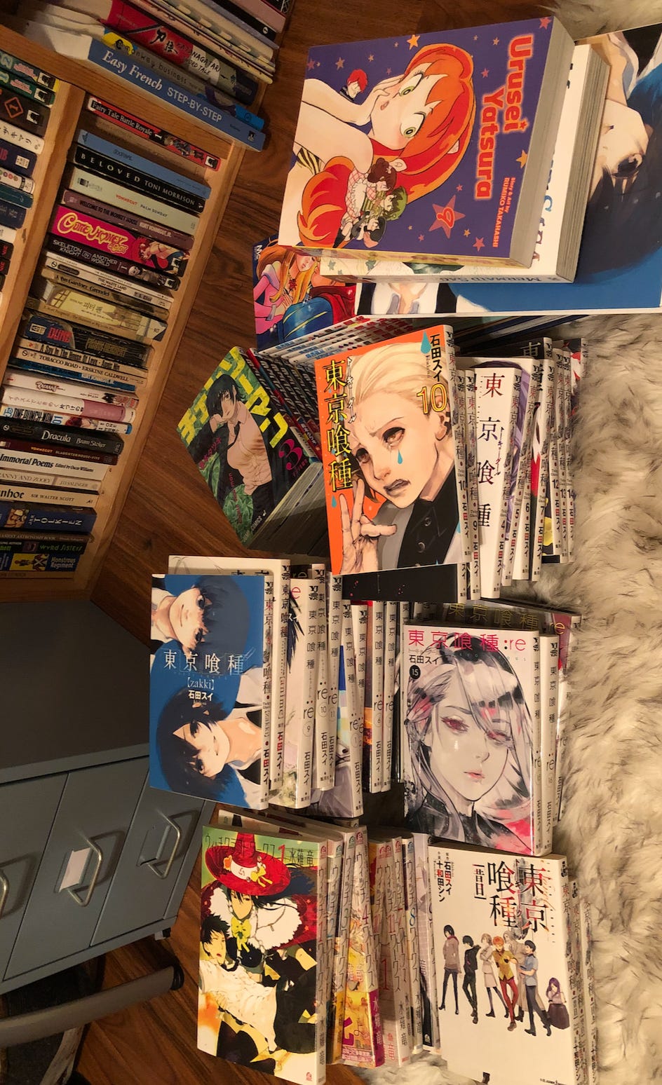 Books overflowing onto the ground