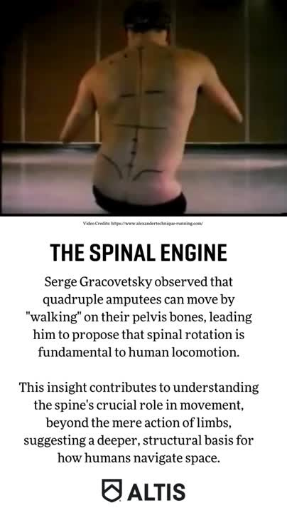 spinalengine #athleticbiomechanics #freeebook #altis #sportscoaching… |  ALTIS