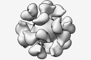 Epstein Barr particle