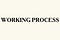 WORKING PROCESS
