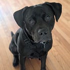 Contrarian Rescue of the Week