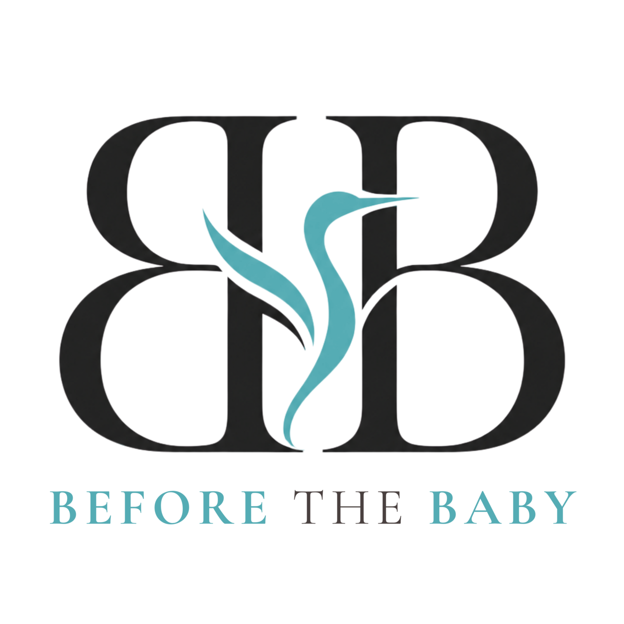 Before the Baby logo