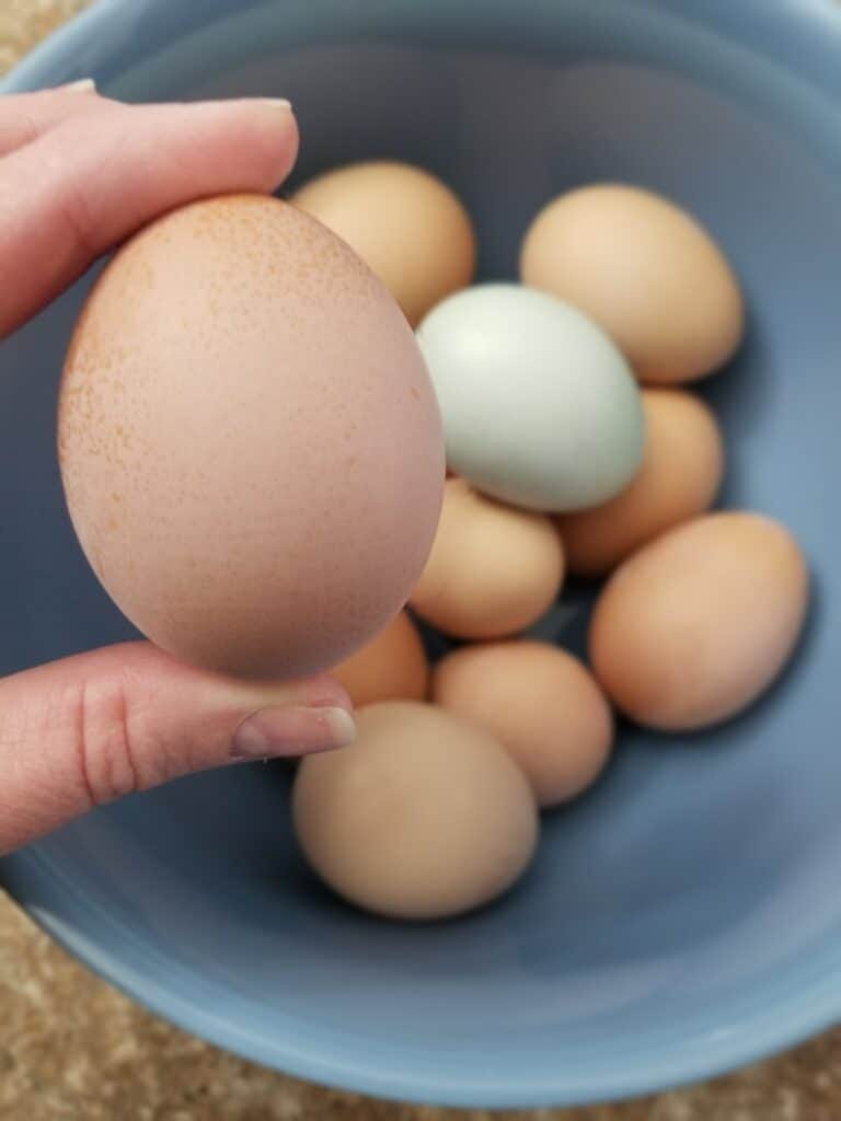 Jackie O ate two boiled eggs for breakfast every morning. Jackie O ate two boiled eggs for breakfast every morning.