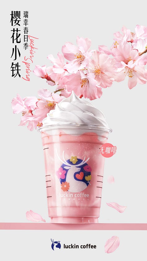 cherry blossom