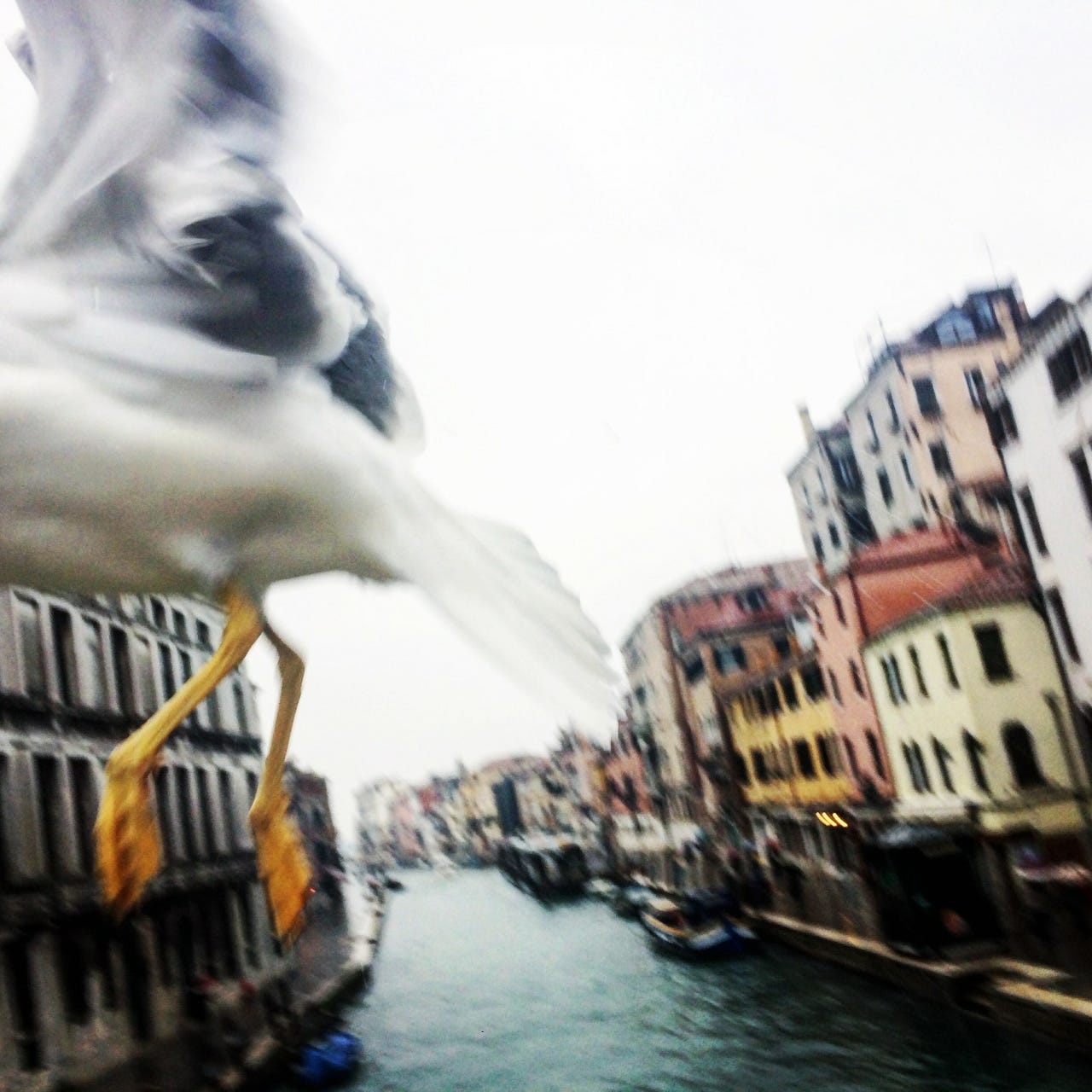 Il Substack di Fosca logo