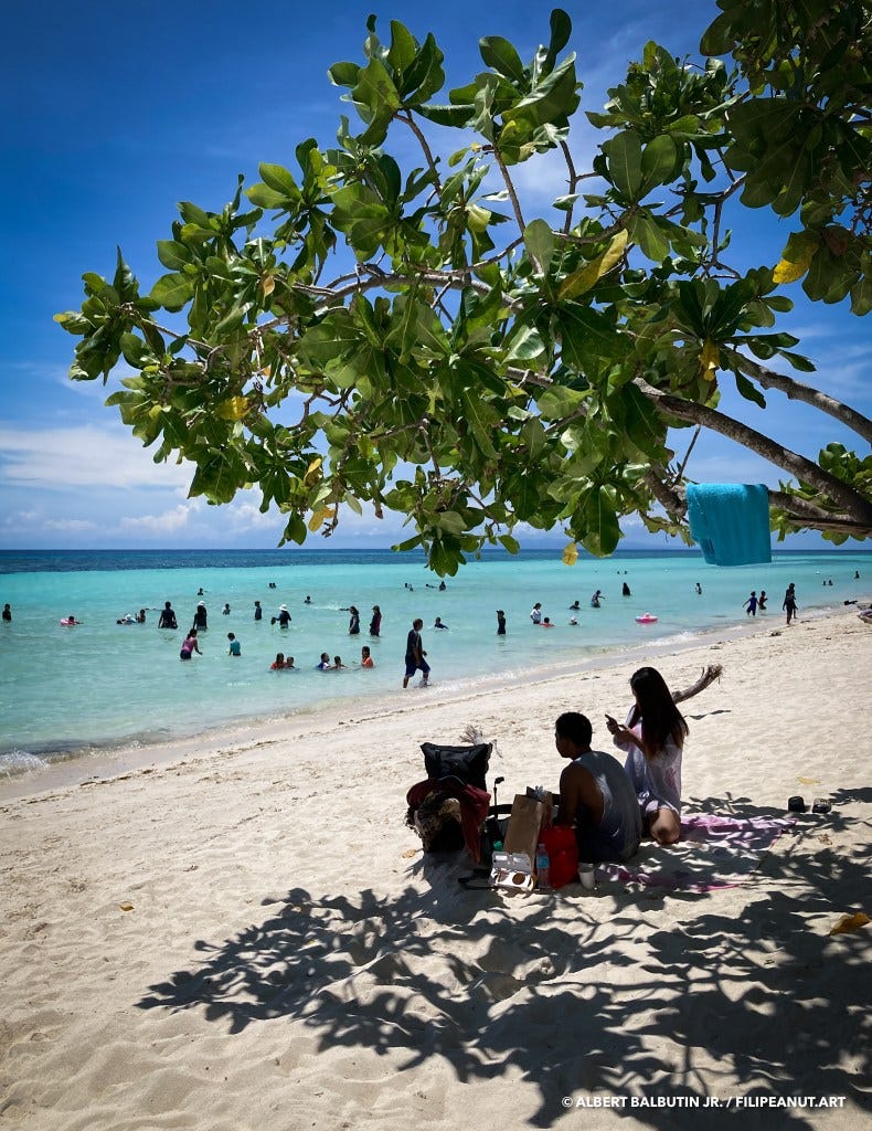 Talisay tree offers shade for people on white beach in Dumaluan Talisay tree offers shade for people on white beach in Dumaluan