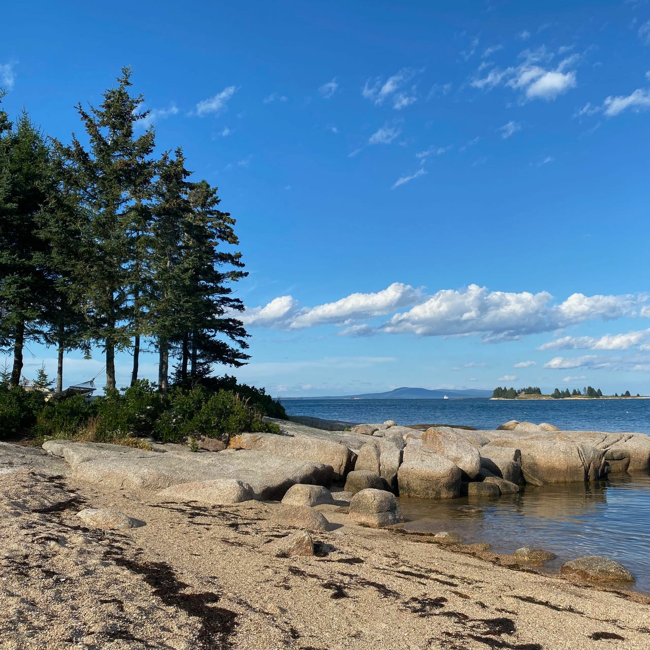 Notes for a Time of Testing