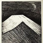 About Shadow Truths