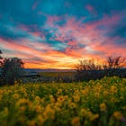 Η αληθινή ιδιωτικοποίηση